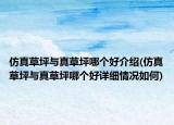 仿真草坪与真草坪哪个好介绍(仿真草坪与真草坪哪个好详细情况如何)