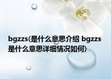 bgzzs(是什么意思介绍 bgzzs 是什么意思详细情况如何)