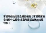 家里哪些地方适合摆放植物（家里角落适合摆放什么植物 家里角落适合摆放啥植物呢）