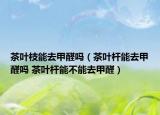 茶叶枝能去甲醛吗（茶叶杆能去甲醛吗 茶叶杆能不能去甲醛）