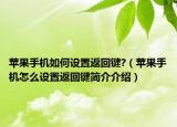 苹果手机如何设置返回键?（苹果手机怎么设置返回键简介介绍）