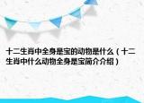 十二生肖中全身是宝的动物是什么（十二生肖中什么动物全身是宝简介介绍）