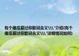 有个傻瓜爱过你歌词含义\