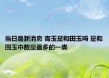 当日最新消息 青玉是和田玉吗 是和田玉中数量最多的一类