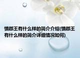 慎郡王有什么样的简介介绍(慎郡王有什么样的简介详细情况如何)