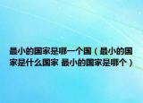 最小的国家是哪一个国（最小的国家是什么国家 最小的国家是哪个）