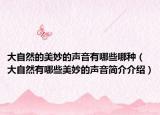 大自然的美妙的声音有哪些哪种（大自然有哪些美妙的声音简介介绍）