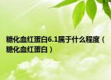 糖化血红蛋白6.1属于什么程度（糖化血红蛋白）