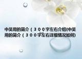中吴用的简介（３００字左右介绍(中吴用的简介（３００字左右详细情况如何)