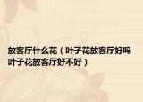 放客厅什么花（叶子花放客厅好吗 叶子花放客厅好不好）