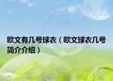 欧文有几号球衣（欧文球衣几号简介介绍）