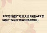 APP怎样推广方法大全介绍(APP怎样推广方法大全详细情况如何)