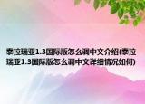 泰拉瑞亚1.3国际版怎么调中文介绍(泰拉瑞亚1.3国际版怎么调中文详细情况如何)