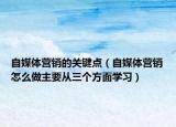 自媒体营销的关键点（自媒体营销怎么做主要从三个方面学习）