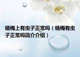 杨梅上有虫子正常吗（杨梅有虫子正常吗简介介绍）