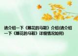 请介绍一下《雕花的马鞍》介绍(请介绍一下《雕花的马鞍》详细情况如何)