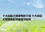 十大凶猛大猩猩电影介绍 十大凶猛大猩猩电影详细情况如何