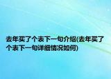 去年买了个表下一句介绍(去年买了个表下一句详细情况如何)