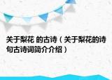 关于梨花 的古诗（关于梨花的诗句古诗词简介介绍）