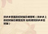 拼多多里面的招财猫在哪里呢（拼多多上的招财猫在哪里找到 如何得到拼多多招财猫）