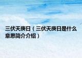 三伏天庚日（三伏天庚日是什么意思简介介绍）