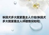 秋田犬多大就紧靠主人介绍(秋田犬多大就紧靠主人详细情况如何)