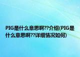 PIG是什么意思啊??介绍(PIG是什么意思啊??详细情况如何)