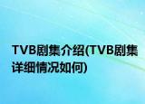 TVB剧集介绍(TVB剧集详细情况如何)