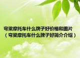 弯梁摩托车什么牌子好价格和图片（弯梁摩托车什么牌子好简介介绍）