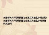 三国群英传7用修改器怎么该武将的名字啊介绍(三国群英传7用修改器怎么该武将的名字啊详细情况如何)