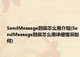 SendMessage到底怎么用介绍(SendMessage到底怎么用详细情况如何)