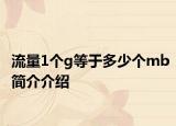流量1个g等于多少个mb简介介绍