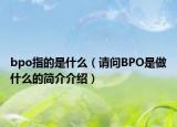 bpo指的是什么（请问BPO是做什么的简介介绍）