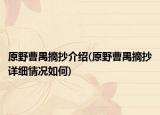 原野曹禺摘抄介绍(原野曹禺摘抄详细情况如何)