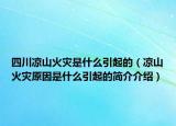 四川凉山火灾是什么引起的（凉山火灾原因是什么引起的简介介绍）