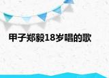 甲子郑毅18岁唱的歌