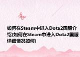 如何在Steam中进入Dota2国服介绍(如何在Steam中进入Dota2国服详细情况如何)