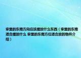 家里的东南方向应该摆放什么东西（家里的东南适合摆放什么 家里的东南方位适合放的物件介绍）