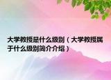 大学教授是什么级别（大学教授属于什么级别简介介绍）