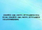 《SNK拳皇》音巢（NESTS）是个什么组织实力怎么样介绍(《SNK拳皇》音巢（NESTS）是个什么组织实力怎么样详细情况如何)
