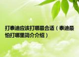 打泰迪应该打哪最合适（泰迪最怕打哪里简介介绍）