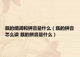 兹的组词和拼音是什么（兹的拼音怎么读 兹的拼音是什么）