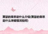 萧瑟的意思是什么介绍(萧瑟的意思是什么详细情况如何)