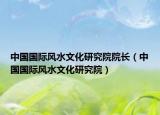 中国国际风水文化研究院院长（中国国际风水文化研究院）