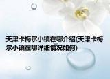 天津卡梅尔小镇在哪介绍(天津卡梅尔小镇在哪详细情况如何)