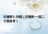 红楼梦1-20回（红楼梦-一百二十回全本）