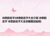 诗意的名字(诗意的名字大全介绍 诗意的名字 诗意的名字大全详细情况如何)