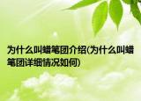 为什么叫蜡笔团介绍(为什么叫蜡笔团详细情况如何)