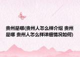 贵州是哪(贵州人怎么样介绍 贵州是哪 贵州人怎么样详细情况如何)