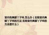 室内有臭脚丫子味,怎么办（去除室内臭脚丫子味的方法 去除室内臭脚丫子味的方法是什么）